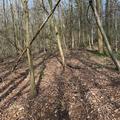 A panoramic photograph of compartment 19