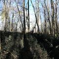 A panoramic photograph of compartment 3