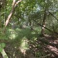 A panoramic photograph of compartment 42