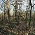 A panoramic photograph of compartment 5