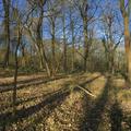 A panoramic photograph of compartment 6