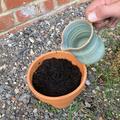 A terracotta plant pot filled with compost, being dampened by water poured from a jug
