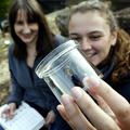 Two people observing a moth, one is holding a small flask with the moth inside and the other is taking notes in a small notebook