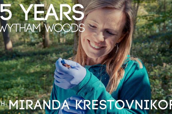 75 Years in Wytham Woods - with Miranda Krestovnikoff