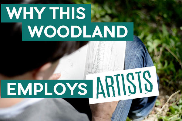 Title card: Why This Woodland Employs Artists