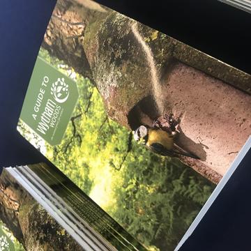 A photograph of a stack of guidebooks