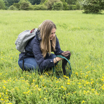 Person crouching looking for Bees in a green meadow