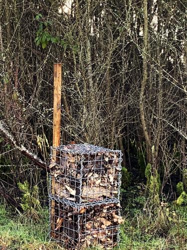 insect hotel