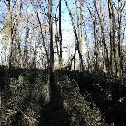 A panoramic photograph of compartment 3