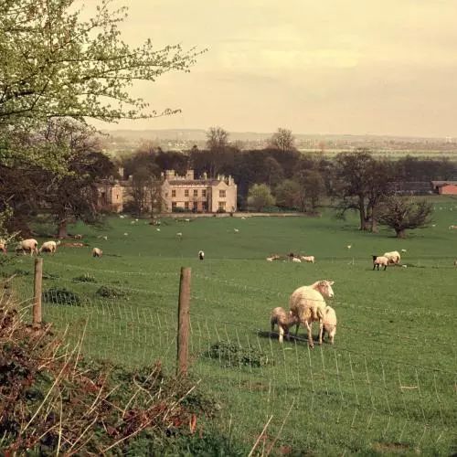 Image of Wytham Abbey and Park across a field of grass, sheep and lambs