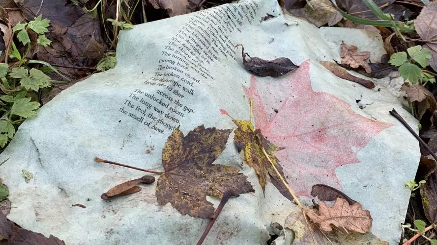 Decomposing Poems by Penny Boxall 
