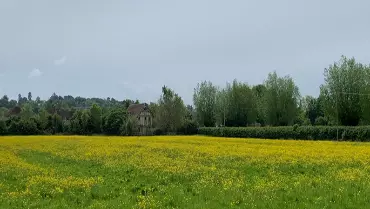 parkfarmpasture